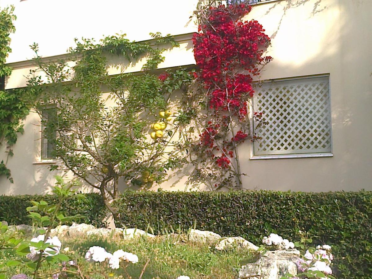Apartamento Apartament Leon Maleme Do 6 Os. Exterior foto